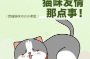 猫咪新版技能加点攻略，让你的猫咪更强大（掌握技能加点的窍门，提升猫咪战斗力）