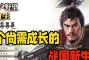 《信长之野望新生论功行赏评定方法详解》（掌握评定方法，让你在游戏中如虎添翼）