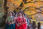 剑灵周末召集令攻略（绝世神剑，集结英雄——揭秘剑灵周末召集令的攻略心得）