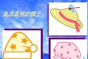 如何成功拿回我的帽子？（一场充满挑战的帽子寻回之旅）