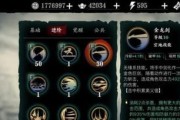 远征2战宠技能搭配攻略（搭配攻略、技能搭配、远征2）
